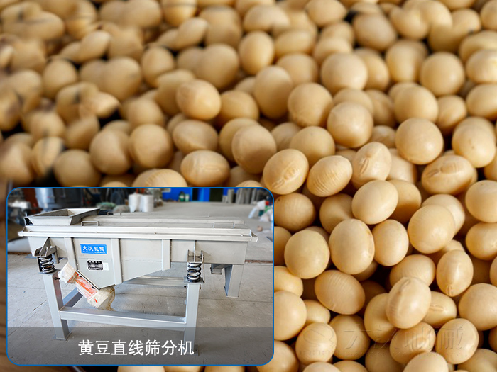 大豆芭乐视频APP下载汅网站进入分机