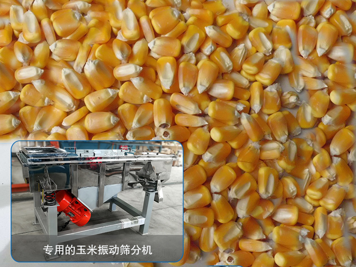 玉米芭乐视频官方下载